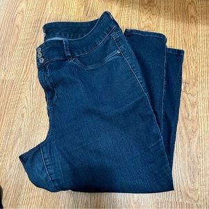 Jeggings 22s torrid
